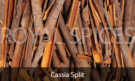 Cassia Split
