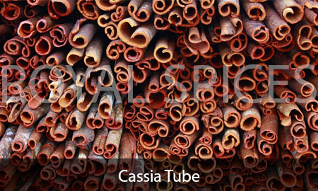 Cassia Tube